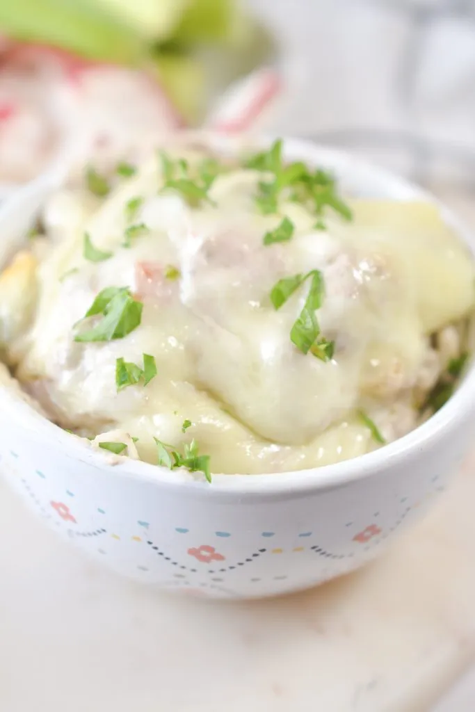 Authentic Philly Sandwich Dip