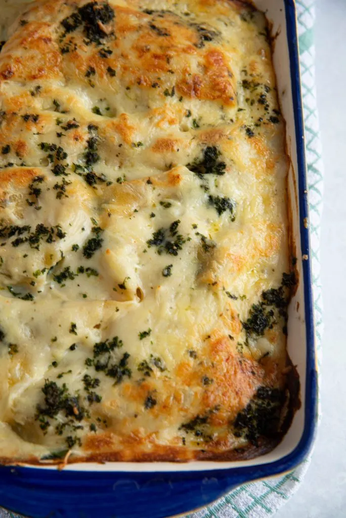 Lasagna with Chicken and Creamy White Cheese