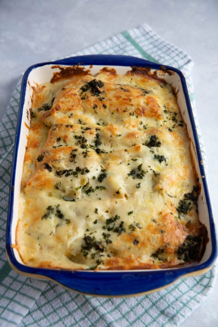 Lasagna with Chicken and Creamy White Cheese
