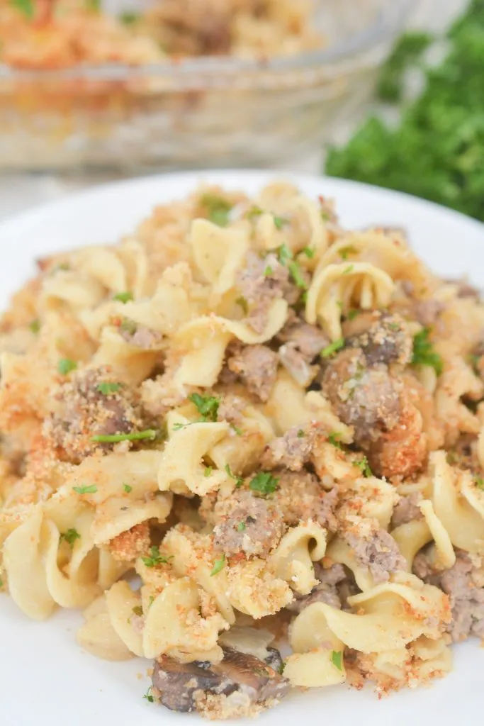 Rachael Ray Stroganoff